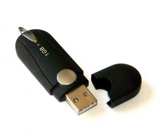 download pictures to memory stick